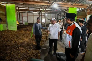 Muhammad Nasir Dorong Aspirasi Petani Rumput Laut Nunukan ke Pusat